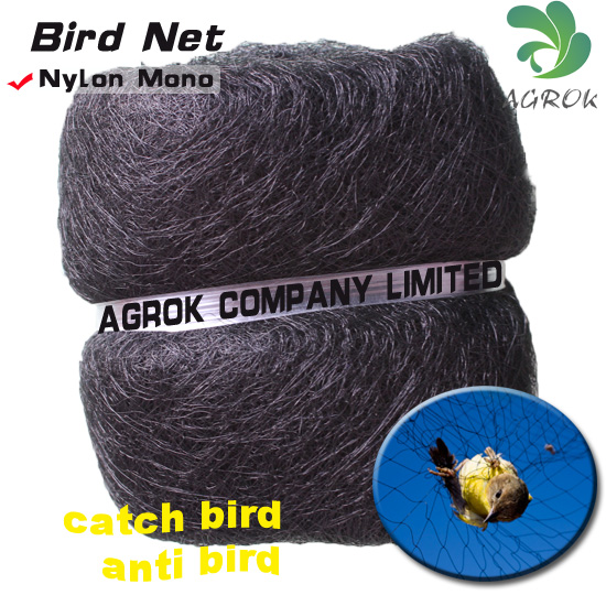 Bird Mist Net