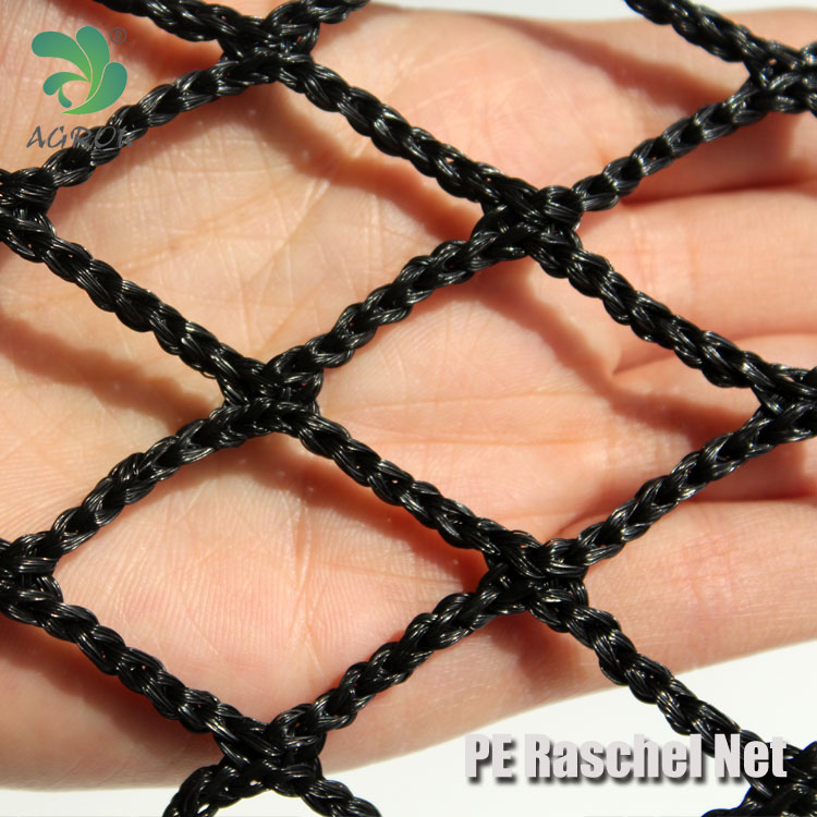 PE Knotless Net